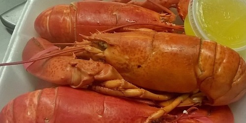 East Wind Lobster and Grille Buzzards Bay