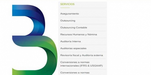 SERVICIOS CONTABLES Y FINANCIEROS - BORNER