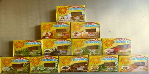 PANELA SALAMANCA