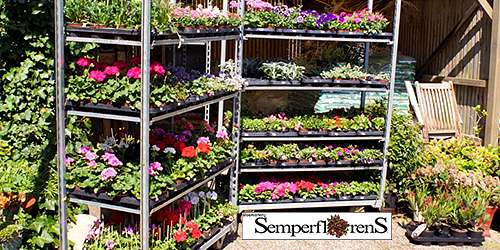 SemperflorenS Beek-Ubbergen