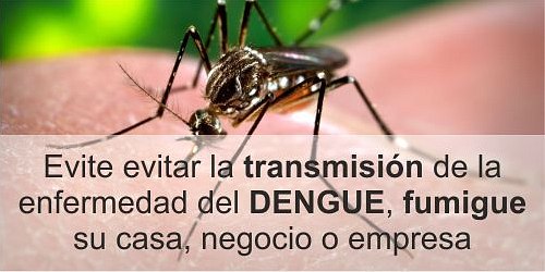 FUMIGACIONES Y PULIDO DE PISOS SUPERLIMPIO
