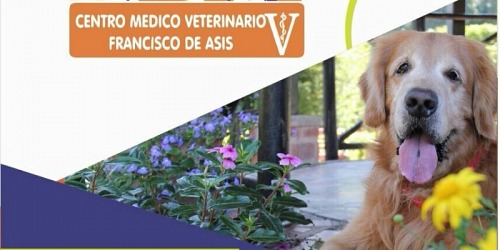 Centro Medico Veterinario FDA