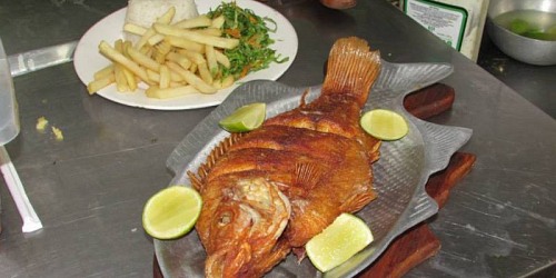 LLANERADA 68