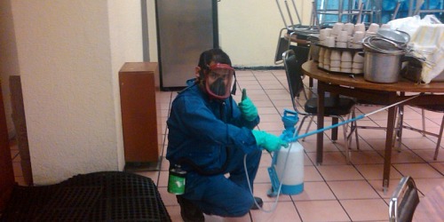 SECOPLAMEX Control de Plagas
