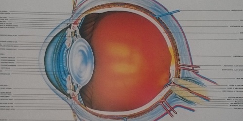 Pretoria North Optometrists