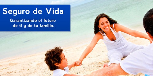Agencia de Seguros y Fianzas Aire Mar y Tierra