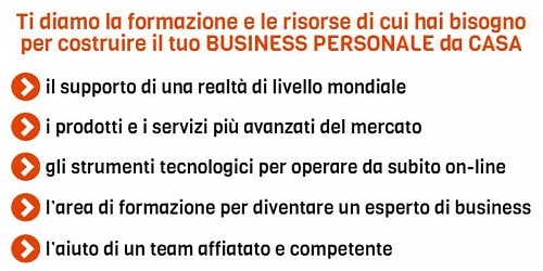 NewSkin Home Business