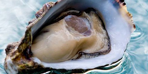 Shuck It!