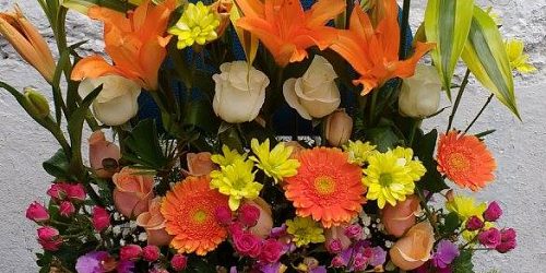 FLORISTERÍA  PENSAMIENTOS