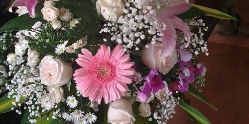 FLORISTERÍA  PENSAMIENTOS