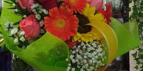 FLORISTERÍA  PENSAMIENTOS