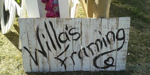 Willa's Framing Wilna vd Merwe