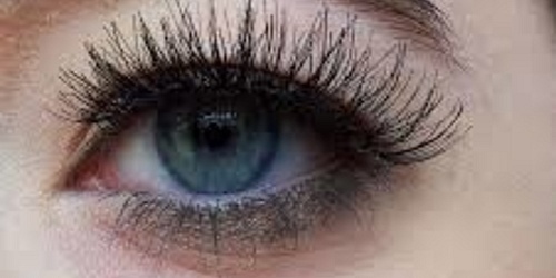 SELENE'S VANITY BEAUTY SALON