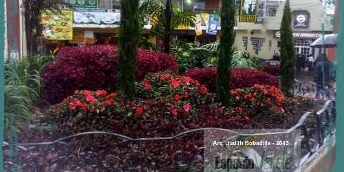 ESPACIO VERDE Jardines y Más