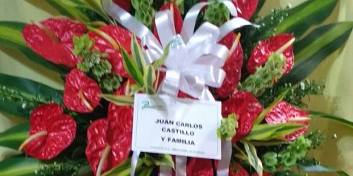 FLORISTERÍA  PENSAMIENTOS