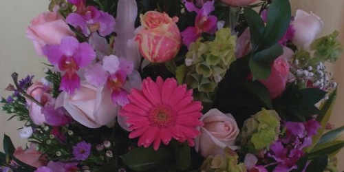 FLORISTERÍA  PENSAMIENTOS