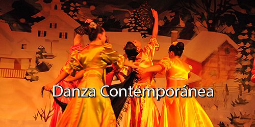 NIJINSKY ESCUELA DE BALLET