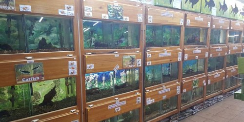 Sterkloop Tackle & Petshop Polokwane