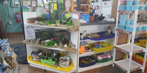 Sterkloop Tackle & Petshop Polokwane