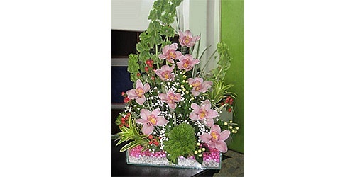 Floristeria Judith
