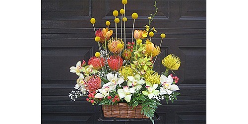 Floristeria Judith
