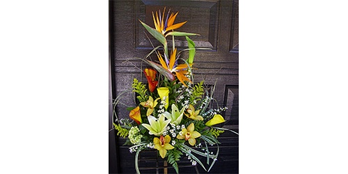 Floristeria Judith