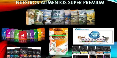 Mundo Safari Pet Wash