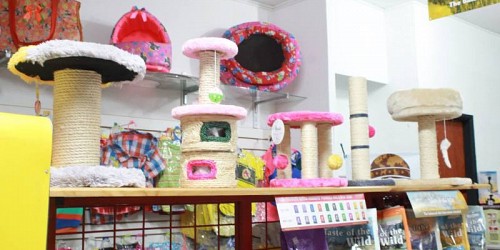 Mundo Safari Pet Wash