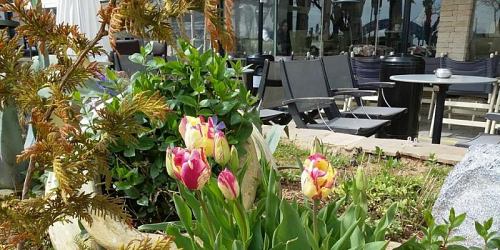 Φίλιον cafe bistro