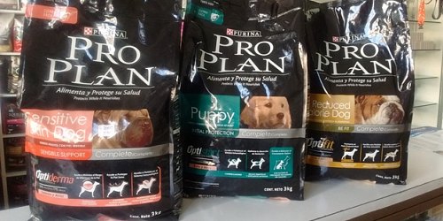 CLINICA VETERINARIA DOBERMAN