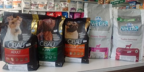 CLINICA VETERINARIA DOBERMAN
