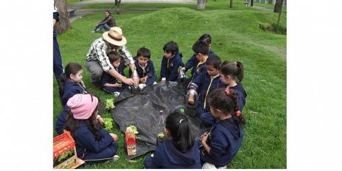 IDEAR UNIDAD INFANTIL DE DESARROLLO Y APRENDIZAJE