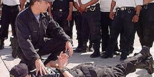 SEGURIDAD PRIVADA Y ASESORIA ESPECIALIZADA NIVEL V