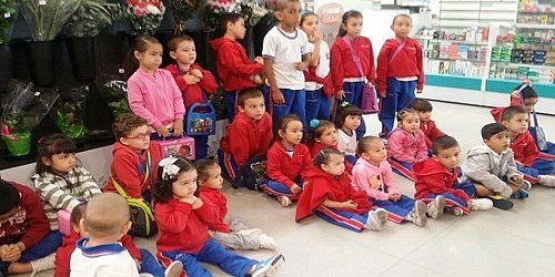 COLEGIO LICEO ALTAIR