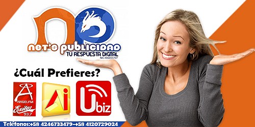 Nets Publicidad  C.A