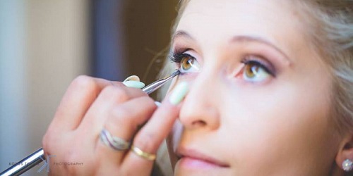 Beauty and the Brush