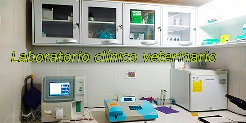 WORLD PET´S  - Clínica Veterinaria