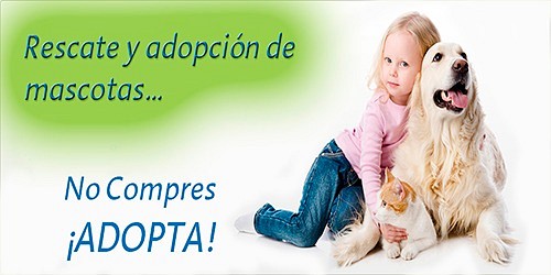 WORLD PET´S  - Clínica Veterinaria