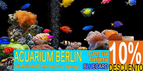 TARJETA BLUE CARD