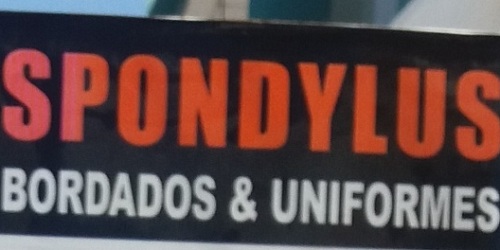 Uniformes Spondylus