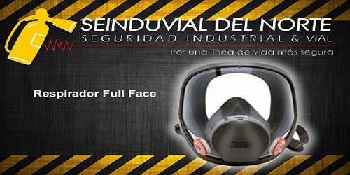 SEINDUVIAL DEL NORTE