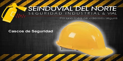 SEINDUVIAL DEL NORTE