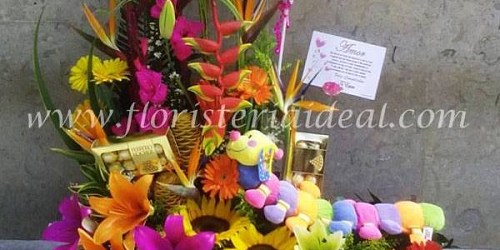 Floristería Ideal  