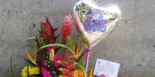 Floristería Ideal  