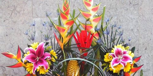Floristería Ideal  