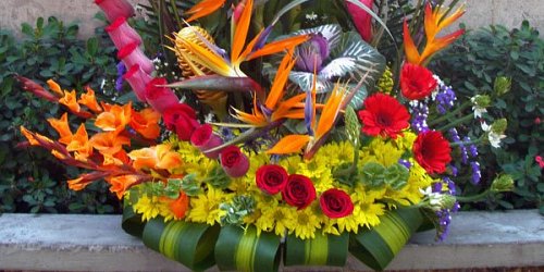Floristería Ideal  