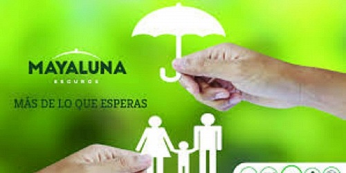 MAYA LUNA ASESORES DE SEGUROS