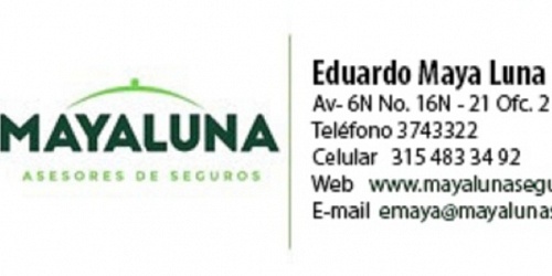 MAYA LUNA ASESORES DE SEGUROS