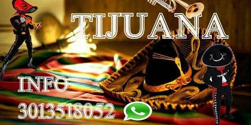 Mariachi Tijuana