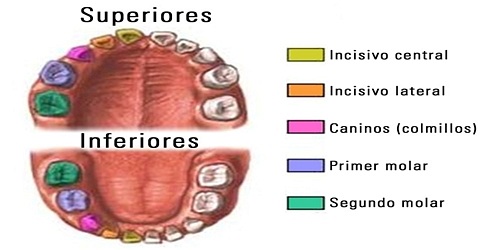 LABORATORIO DENTAL NOVA DENT - Mauricio Velasquez